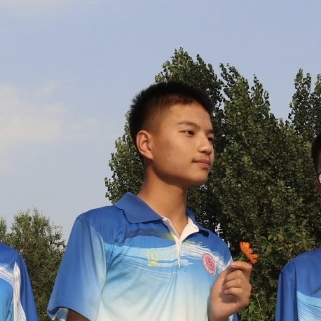 杨哲